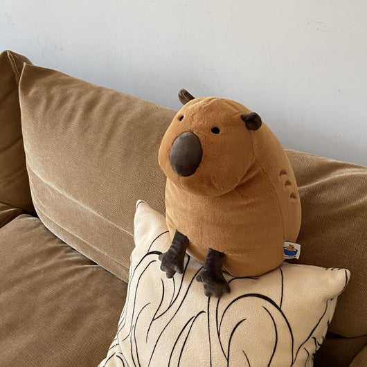 Muñeca Peluche Adorable con Capa de Agua