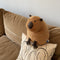 Muñeca Peluche Adorable con Capa de Agua