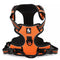 Orange L