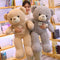 Osito de Peluche Suave Nube - Juguete Infantil y Adorno Decorativo