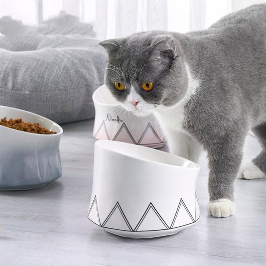 Comedero Doble para Perros y Gatos