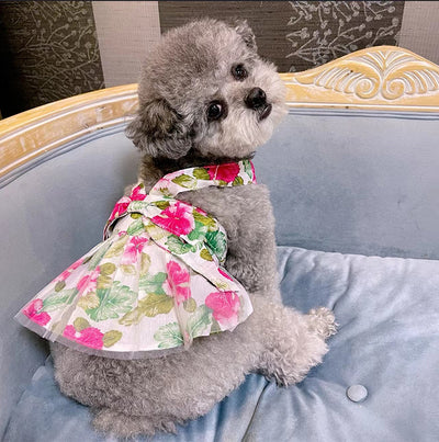 Sombrero Cubo de Algodón Ultra Fino para Mascotas - Gorra Princesa Versátil para Dama - Image 8