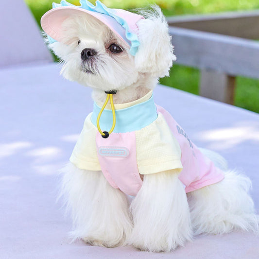 Gorra para Perros Pequeños con Orejas Descubiertas - Bichón, Schnauzer