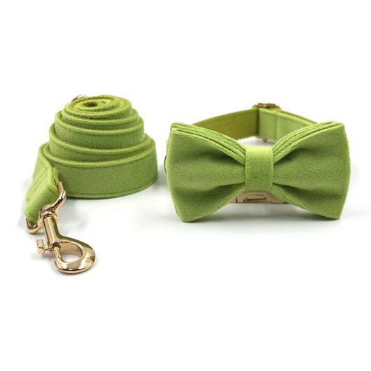 Collar para Perro Velvet Verde Matcha con Hebilla Dorada Premium