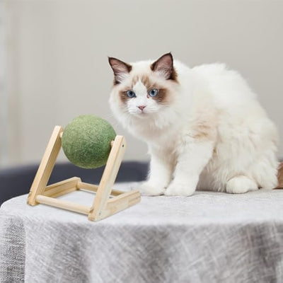 Bola de Catnip Gigante con Soporte - Juguete Seguro para Gatos de Interior - Image 8