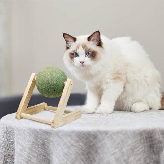 Bola de Catnip Gigante con Soporte - Juguete Seguro para Gatos de Interior - Image 8