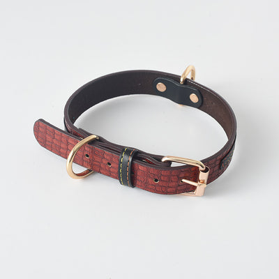 Correa y Collar para Perro - Sistema de Control Seguro - Image 3