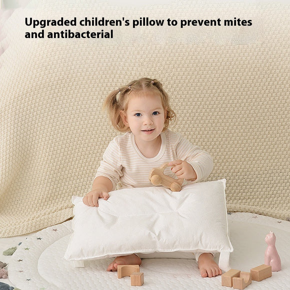 Almohada Antiácaros Universal para Todas las Estaciones