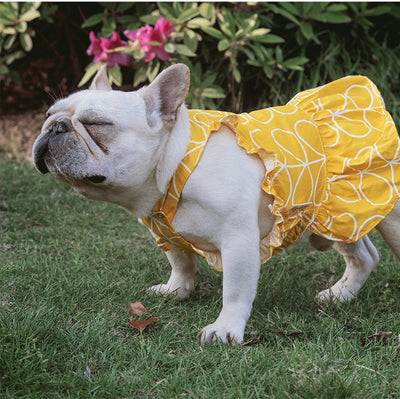 Vestido de Algodón para Mascotas con Estampado Cartoon - Primavera - Image 5
