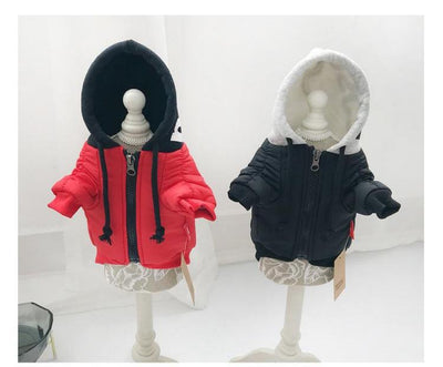 Ropa Térmica para Gatos y Perros Pequeños - Diseño Adorable de Dos Patas - Image 2