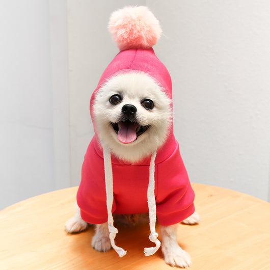 Sudadera con Capucha para Perros Pequeños - Abrigo Polar Verde Otoño Invierno - Image 14