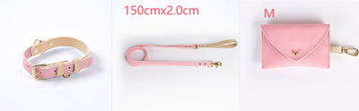 Juego de Collar y Correa para Perro en Cuero Premium - Image 17
