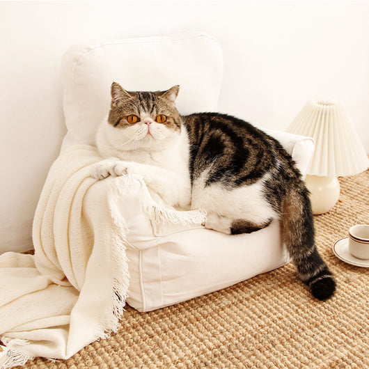 Cama Nórdica para Gatos y Mascotas - Image 7