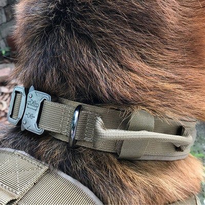Collar para Perro - Image 6
