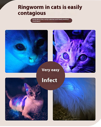 Light purple paw-shaped cat laser pointer toy with USB charging, featuring multiple red laser patterns, soft white light, and UV light. - Image 23