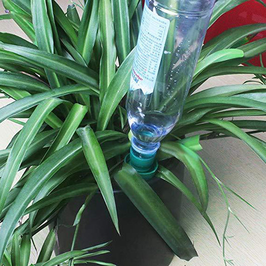 Dosificador para Botellas de Refresco - Práctico y Conveniente - Image 6