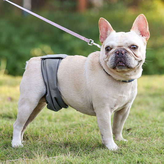 Pañal Protector para Perros Macho - Cinturón Sanitario Reutilizable