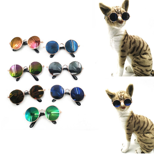Gafas para Mascotas con Estilo Excéntrico - Image 2