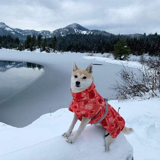 Abrigo Acolchado Impermeable para Perros Grandes - Protección Térmica Invierno - Image 30