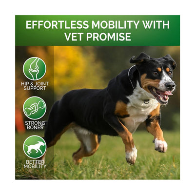 Youmile Glucosamine Hip & Joint Chews for dogs, chicken flavor, 120 soft chews, with a Golden Retriever. - Image 4