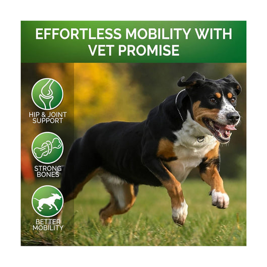 Youmile Glucosamine Hip & Joint Chews for dogs, chicken flavor, 120 soft chews, with a Golden Retriever. - Image 4