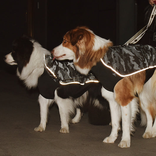 Traje Reflectante de Alto Rendimiento para Mascotas