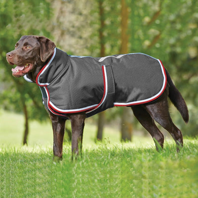 Abrigo Impermeable Cálido para Mascotas - Otoño e Invierno