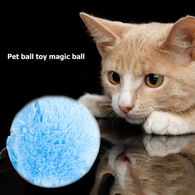 Four colorful plush electric rolling pet toy balls in pink, yellow, green, and blue, with a kitten playing with one. - Image 16