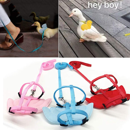 Arnés Ajustable con Alas y Cuerda de Tracción para Aves de Corral y Mascotas Pequeñas - Image 7