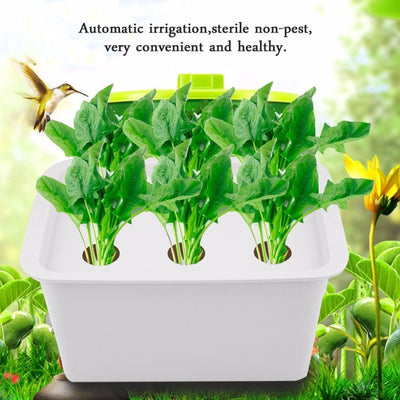 Kit de Cultivo Hidropónico para Balcón - Experimento Soilless - Image 7