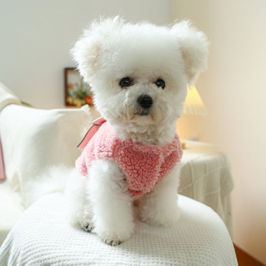 Chaleco Mascotas con Moño - Poliéster Confort - Image 28