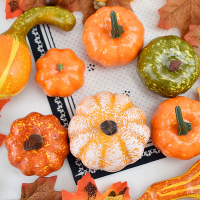 Decoraciones de Calabaza para Acción de Gracias - Image 3