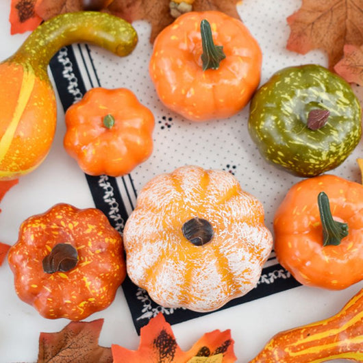 Decoraciones de Calabaza para Acción de Gracias - Image 3