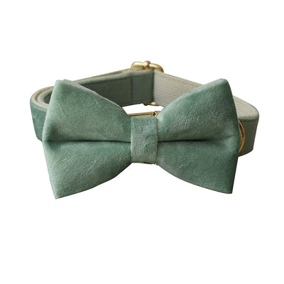 Collar y Correa para Perro Verde Menta - Image 3