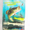 Soft Fishing Box 27 CMX 17CMX5 CM