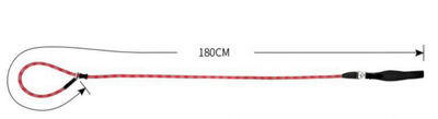 Correa Antipullback para Perros - Diseño Resistente y Seguro - Image 11
