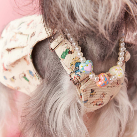 Adornos de Cuentas para Mascotas - Accesorios Decorativos Cóncavos para Perros - Image 14