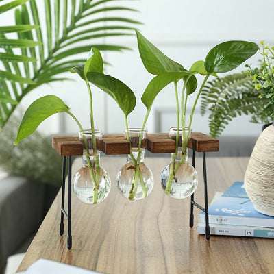 Terrario Rústico para Plantas con Soporte de Madera - Image 10