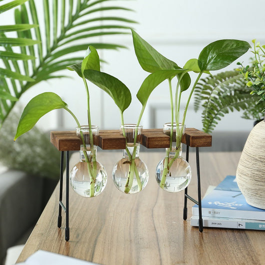 Terrario Rústico para Plantas con Soporte de Madera - Image 10