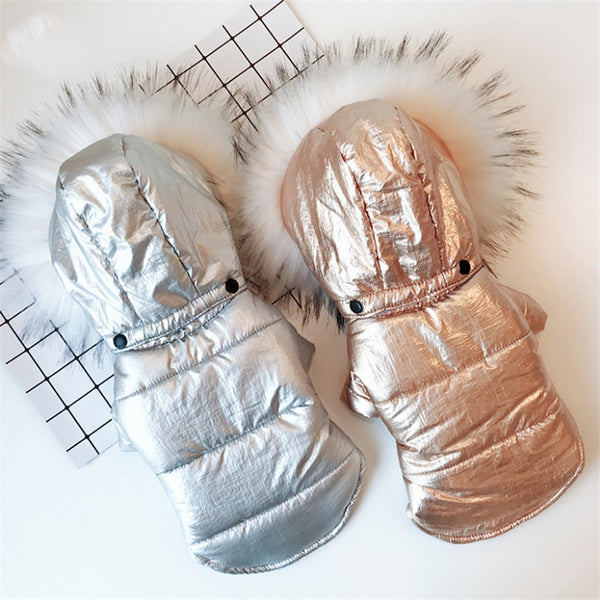 Ropa Térmica para Perros