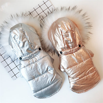 Ropa Térmica para Perros