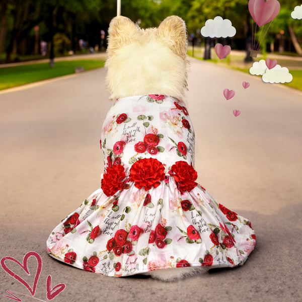 Falda Estampada con Perros y Gatos - Diseño Adorable para Mascotas