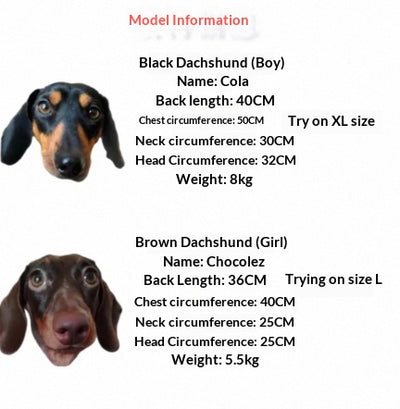 Camisa Cuadriculada para Perros - Ropa Adorable y Cómoda - Image 12