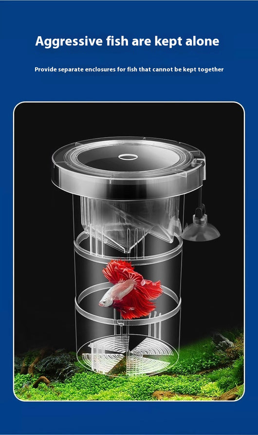 Caja de Aislamiento Acrílica para Reproducción de Peces - Image 13