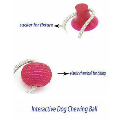 Juguete Mordedor Multiusos para Perros - Limpiador Dental y Masticable - Image 4