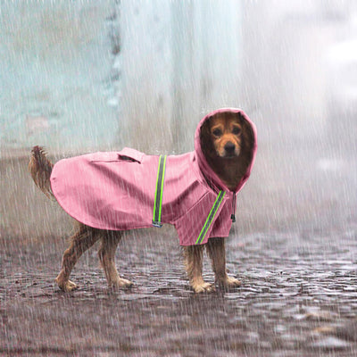 Impermeable Reflectante para Perros con Visibilidad Nocturna - Image 3