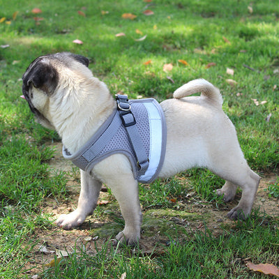 Arnés de Pecho para Mascotas - Image 3