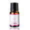 10 ml