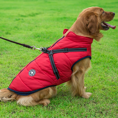 Abrigo Reflectante Impermeable para Perros Grandes - Chaleco Térmico Invierno