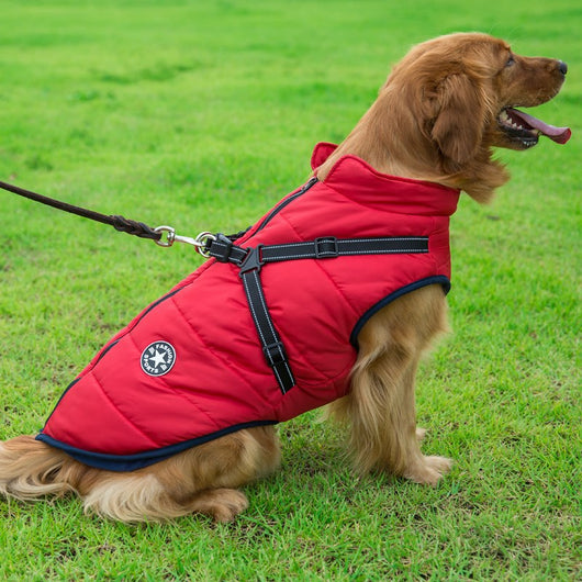 Abrigo Reflectante Impermeable para Perros Grandes - Chaleco Térmico Invierno